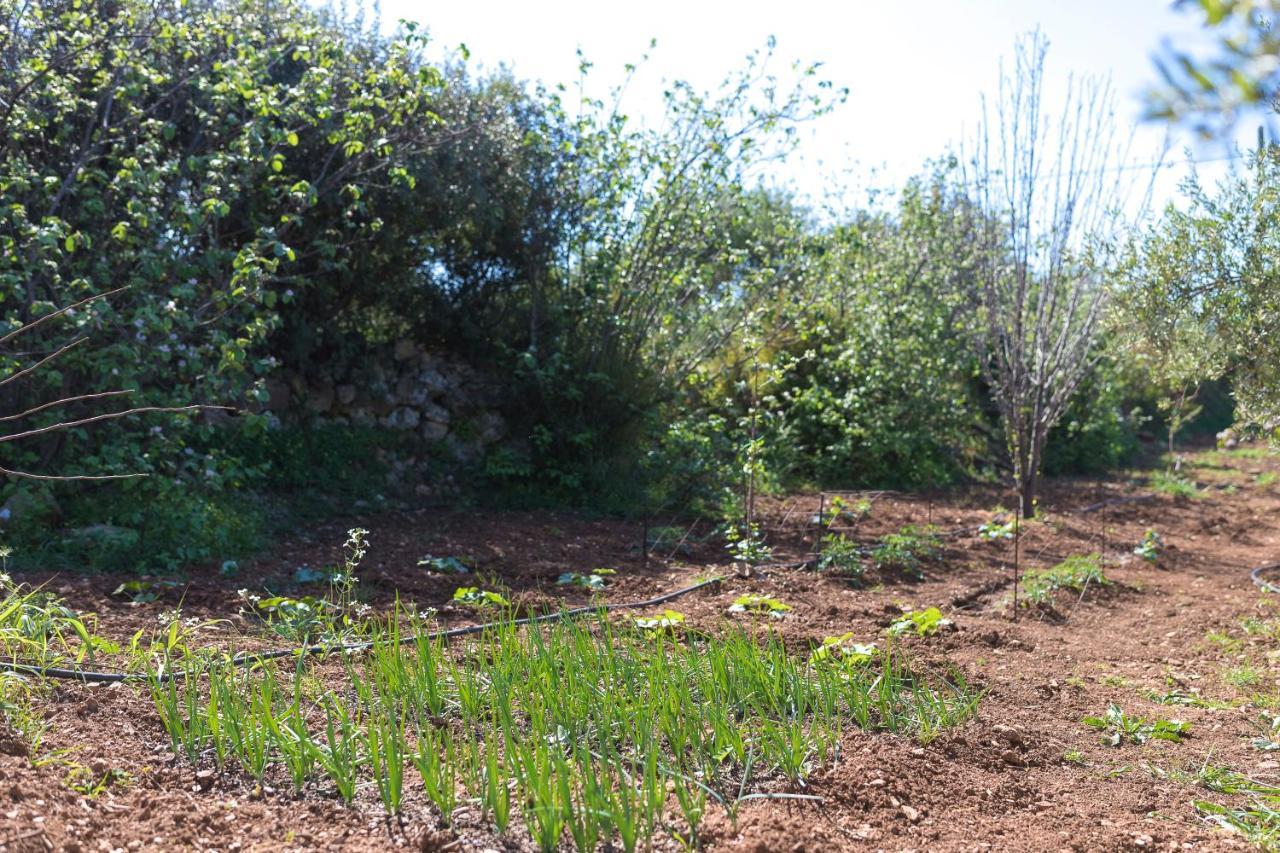 Willa Eden'S Garden Skouloúfia Zewnętrze zdjęcie